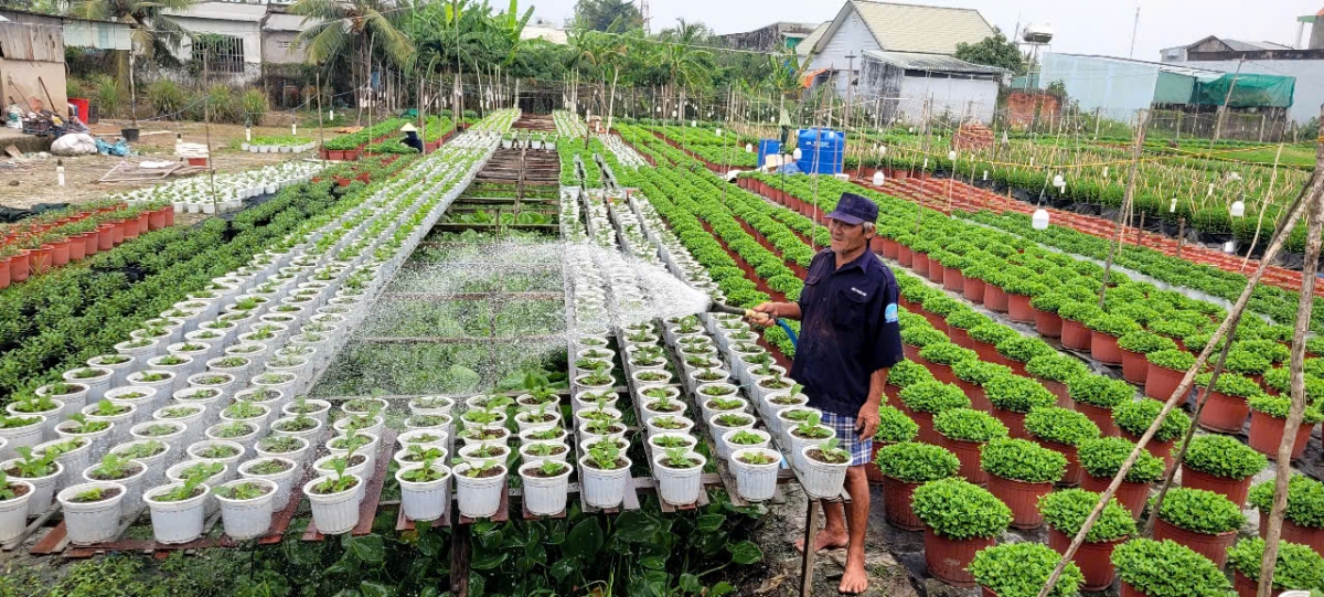 Nông dân Đồng Tháp chuyển sang sản xuất mùa khô cần cảnh giác với thiên tai